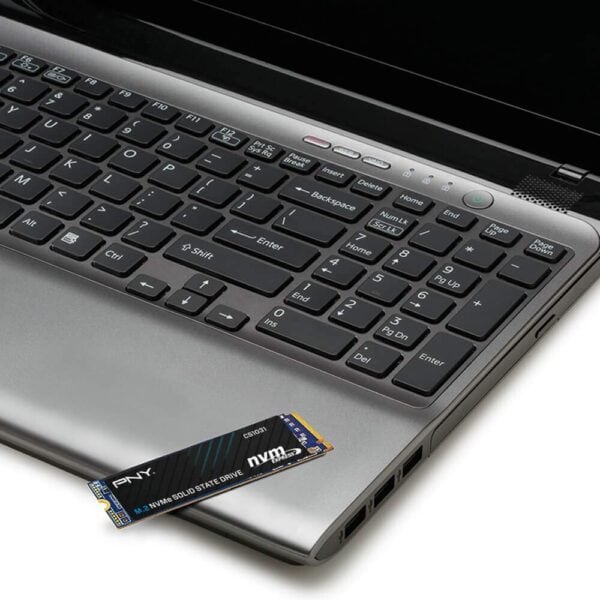 SSD M.2 2280 PNY NVMe PCIe CS1031 256GB - Imagen 6